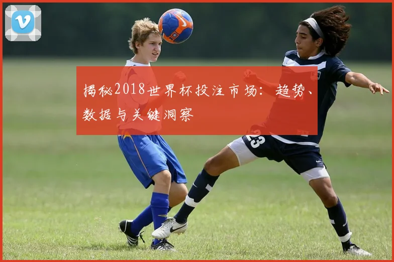 揭秘2018世界杯投注市场：趋势、数据与关键洞察
