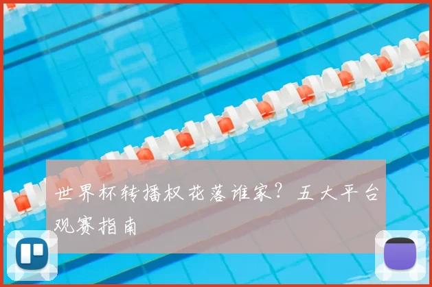 世界杯转播权花落谁家?五大平台观赛指南