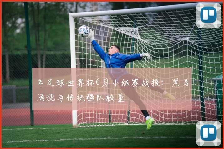 年足球世界杯6月小组赛战报：黑马涌现与传统强队较量